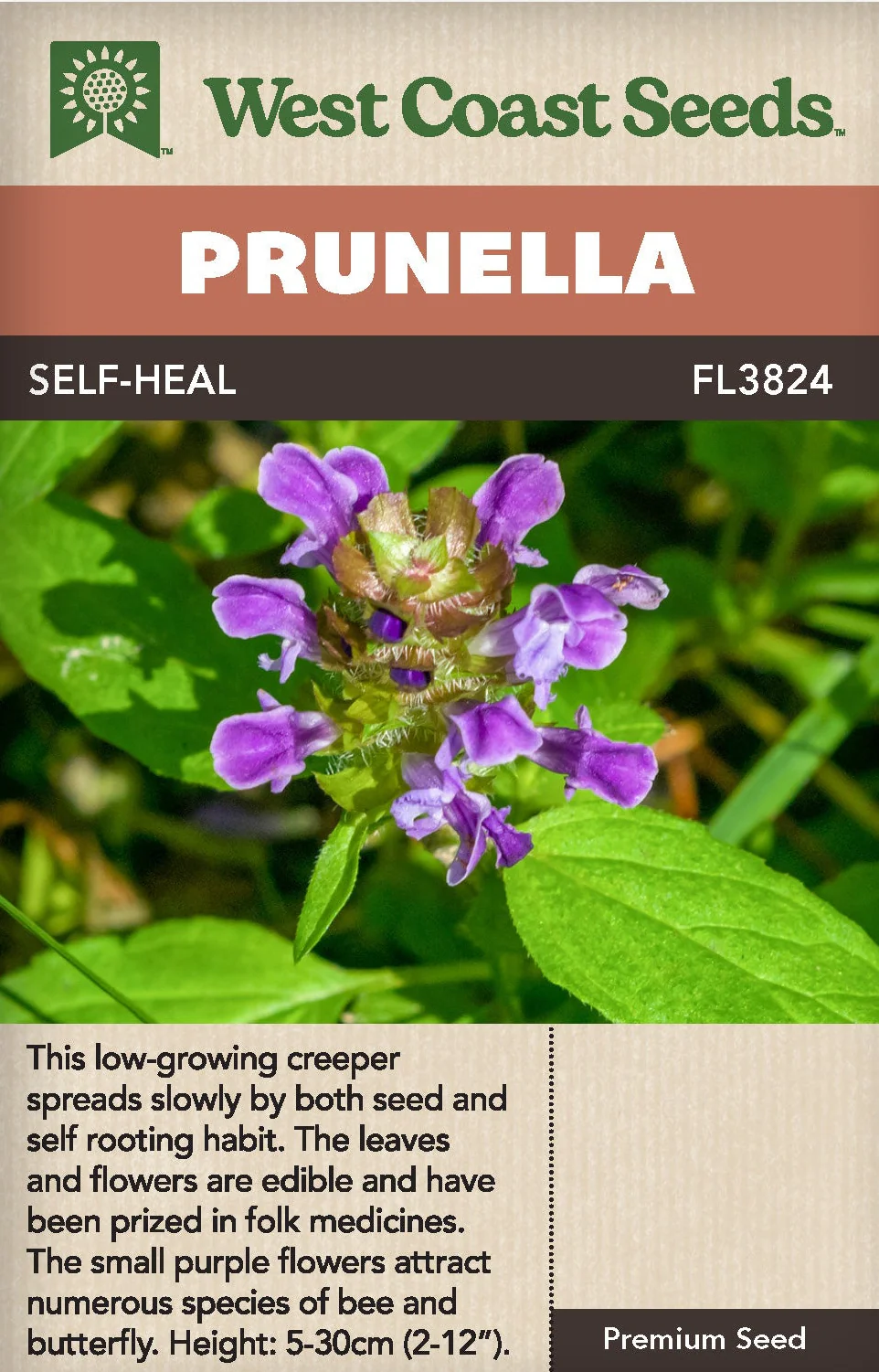 Prunella Self-Heal - West Coast Seeds