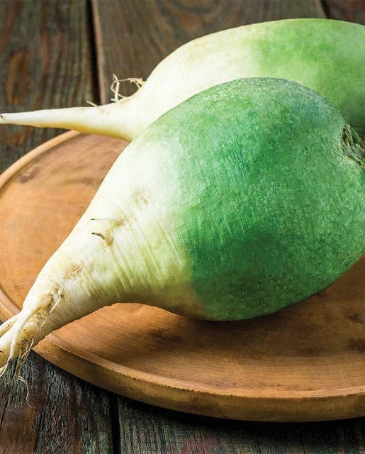 Radish Wasabi - West Coast Seeds - Image 2