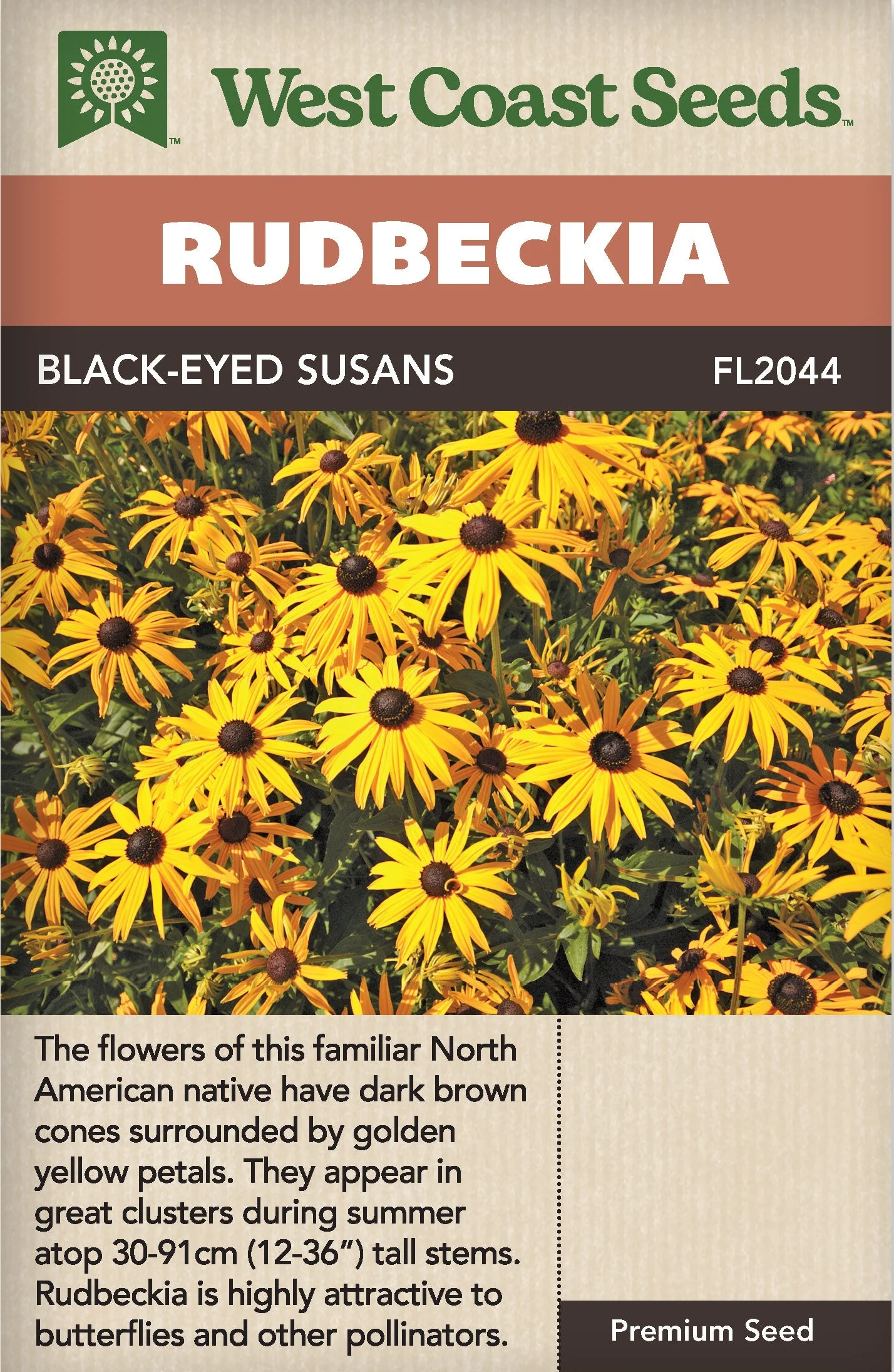 Rudbeckia Black Eyed Susan - West Coast Seeds