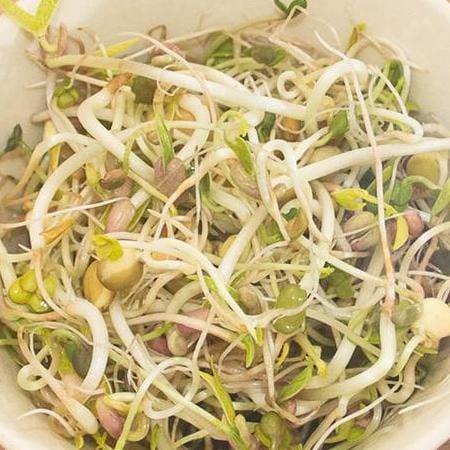 Organic Sprouting Green Hunter Blend - West Coast Seeds - Image 2