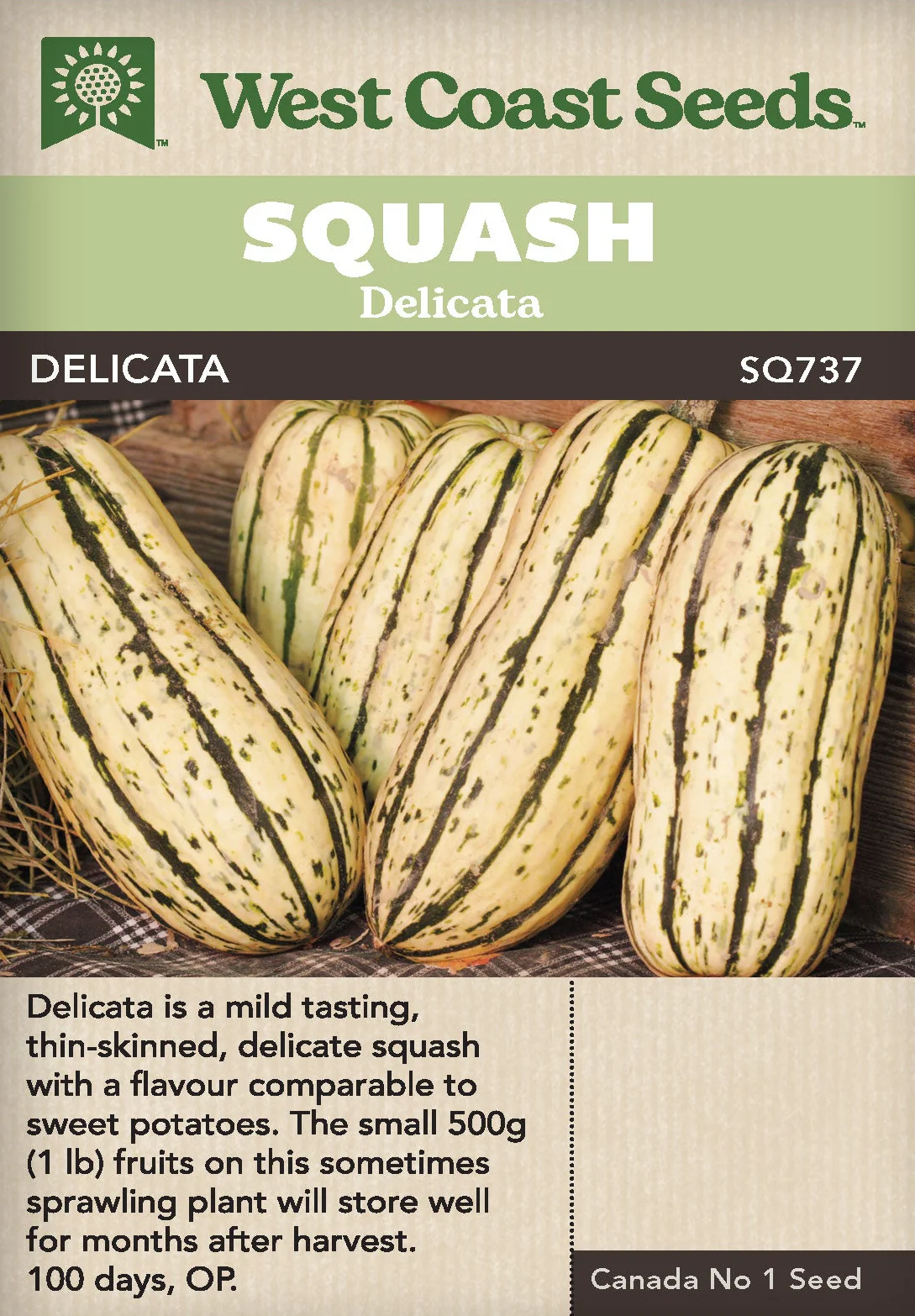 Squash Delicata - West Coast Seeds