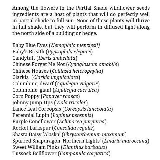 Wildflowers Partial Shade Blend - West Coast Seeds - Image 3