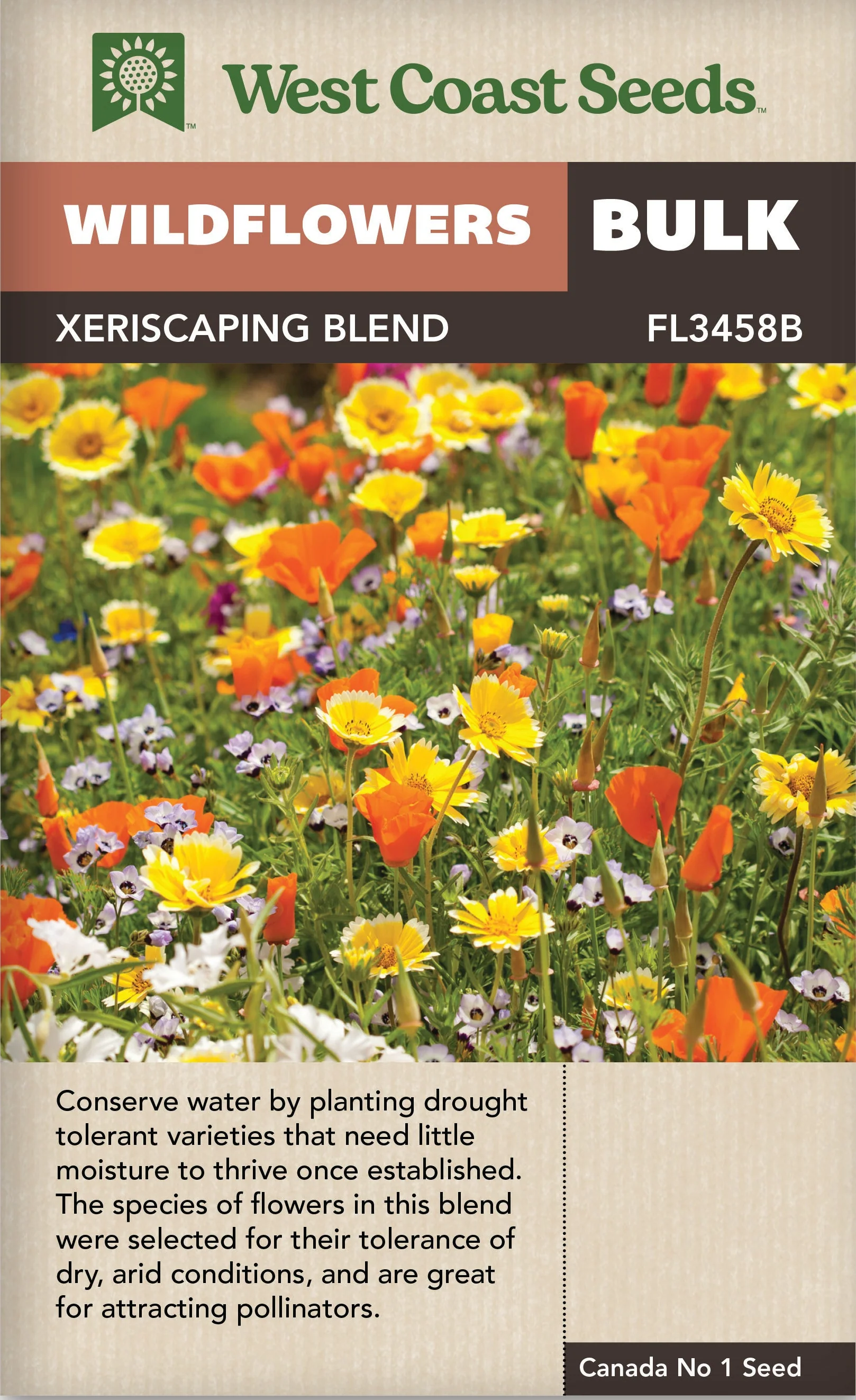 BULK Wildflowers Xeriscaping Blend - West Coast Seeds