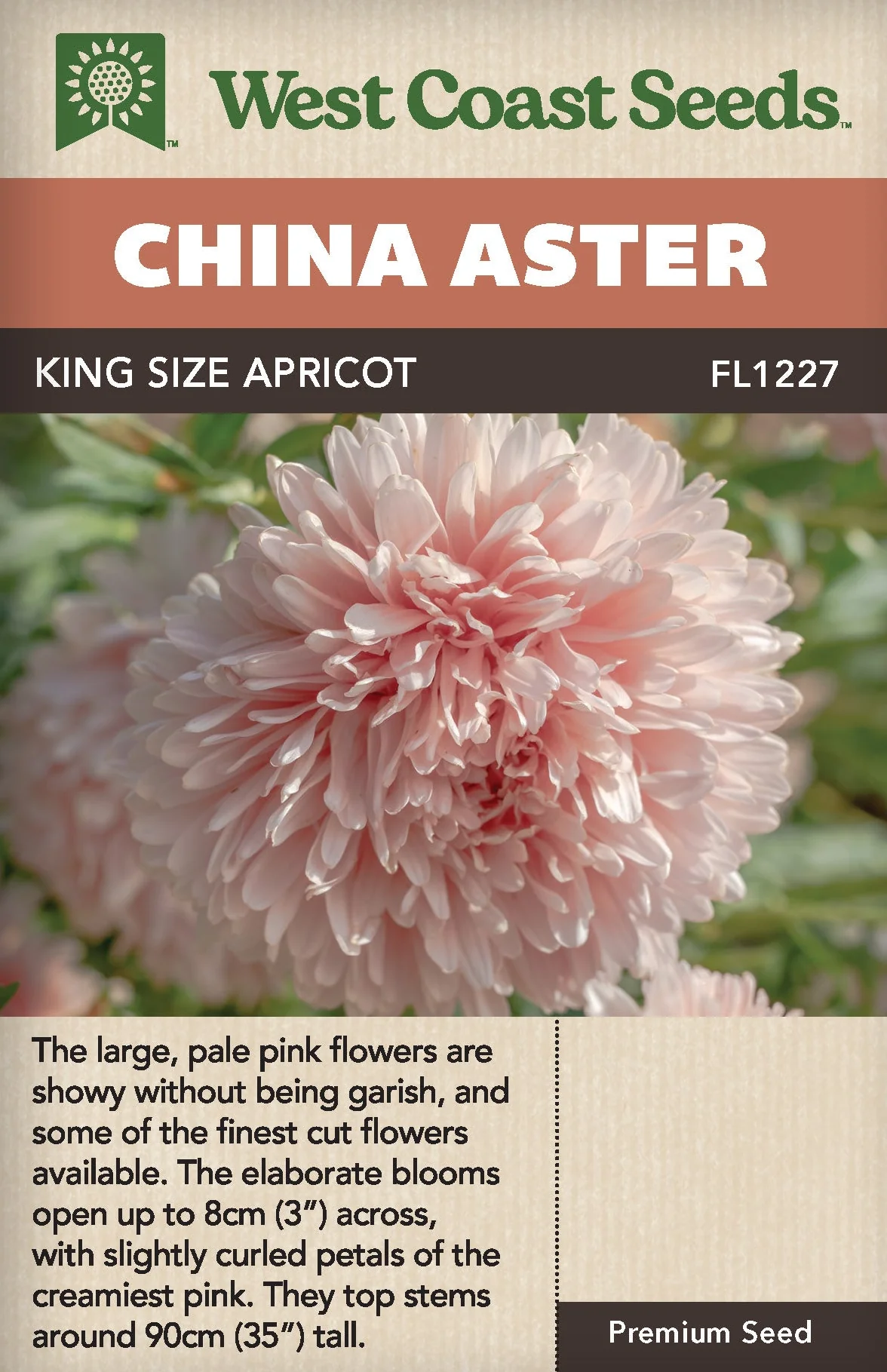 China Aster King Size Apricot - West Coast Seeds