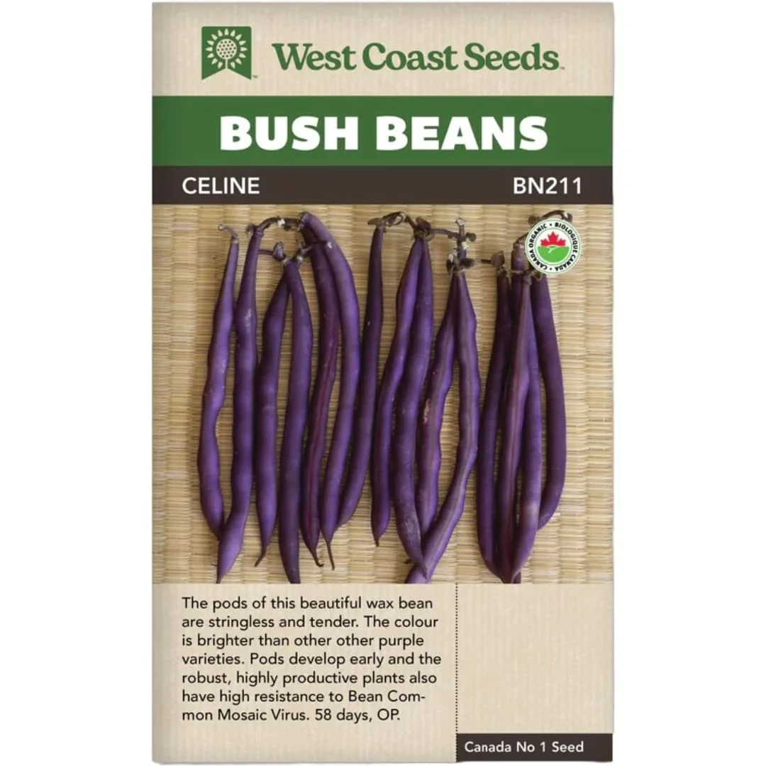 Organic Bean Celine - West Coast Seeds