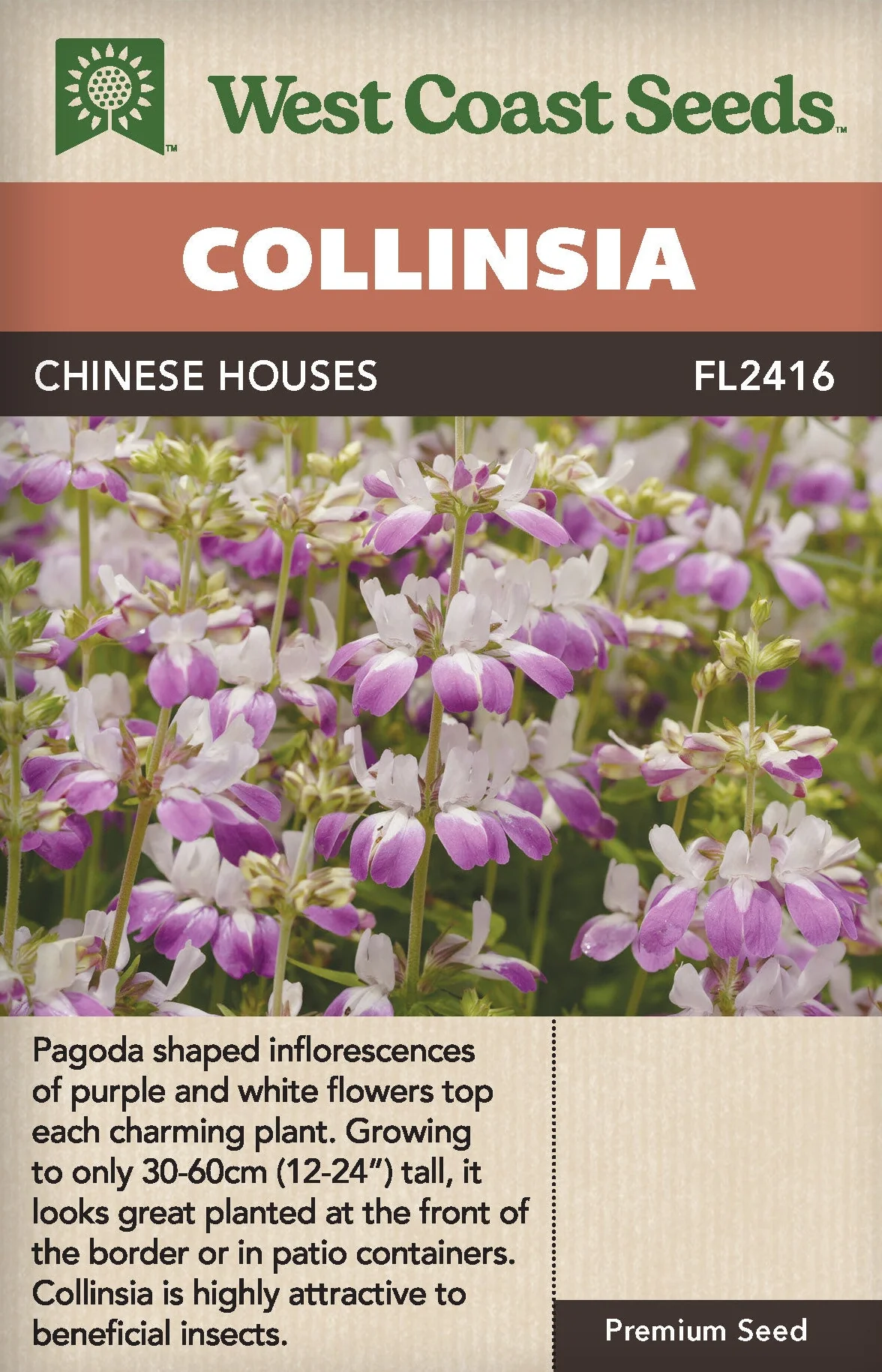 Collinsia Chinese Houses - West Coast Seeds