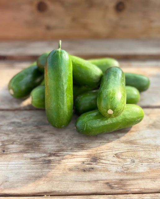 Organic Cucumbers Mini-Me F1 - West Coast Seeds - Image 2