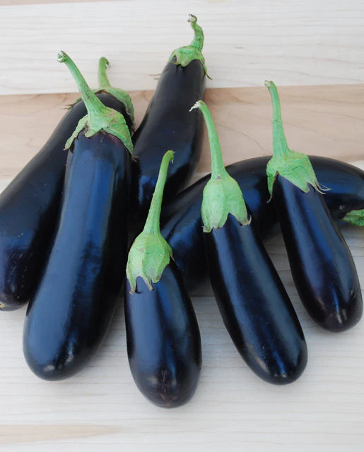 Organic Eggplant Diamond - West Coast Seeds - Image 2