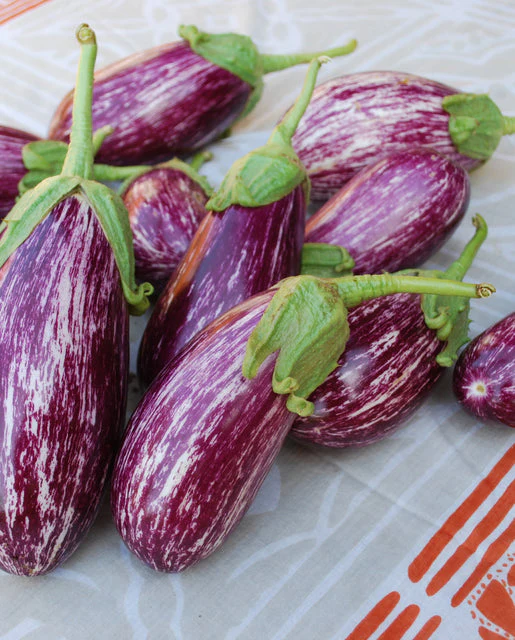 Organic Eggplant Listada De Gandia - West Coast Seeds - Image 2