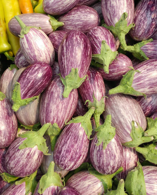Organic Eggplant Piccolo - West Coast Seeds - Image 2