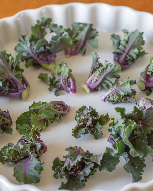 Kale Autumn Star Kalette - West Coast Seeds - Image 3