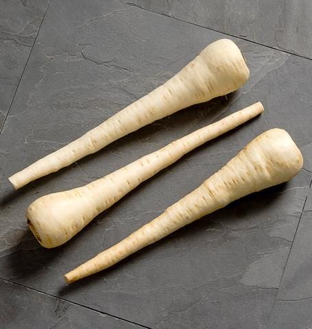 Parsnip White Spear - West Coast Seeds Ltd - Image 2