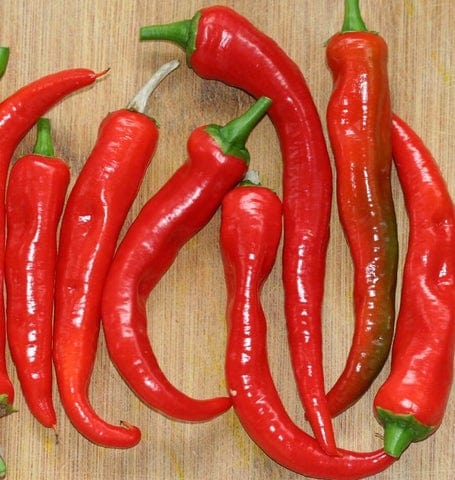 Pepper Arapaho - West Coast Seeds - Image 2