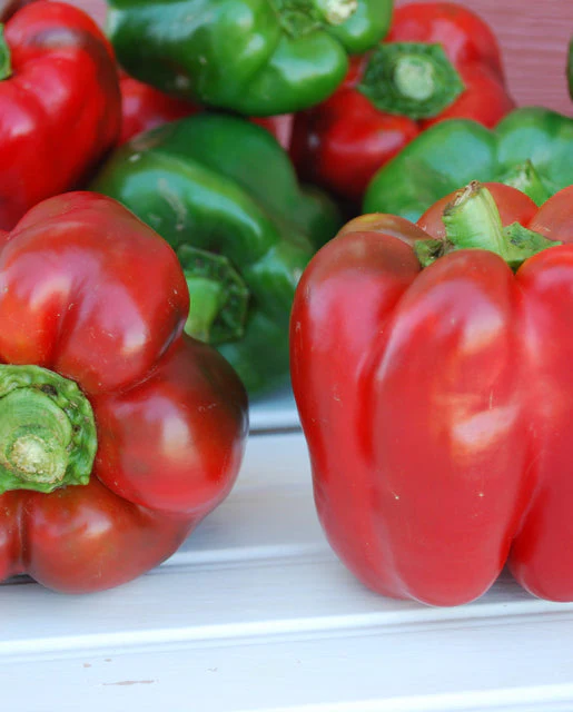Organic Pepper King of North - West Coast Seeds - Image 2