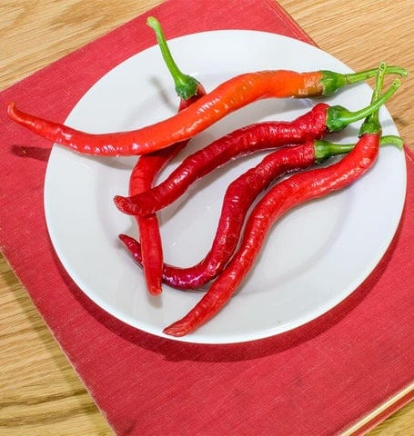 Pepper Witch Stick - West Coast Seeds - Image 2
