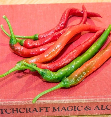 Pepper Witch Stick - West Coast Seeds - Image 3