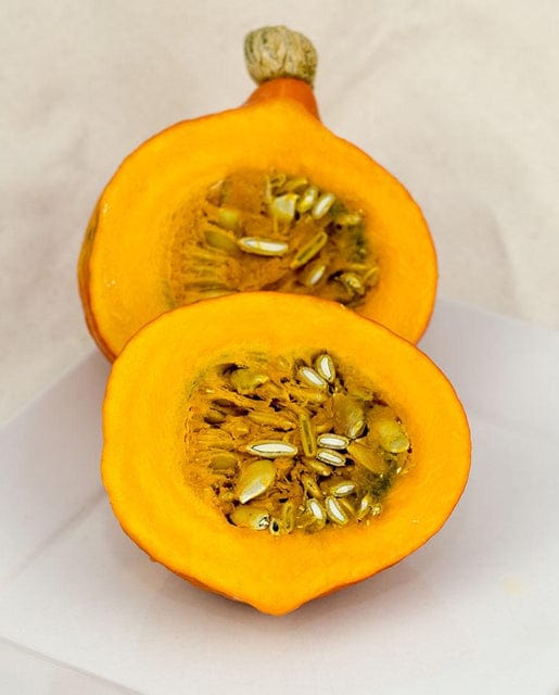Squash Shokichi Red Mini - West Coast Seeds - Image 2