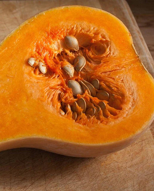 Organic Squash Waltham Butternut - West Coast Seeds - Image 2