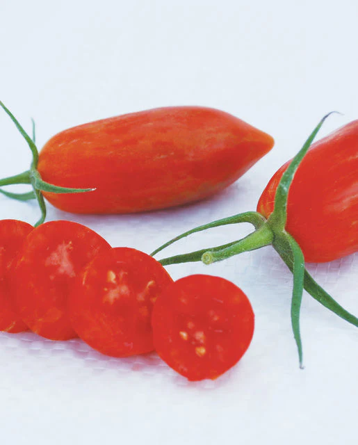 Organic Tomato Prairie Fire - West Coast Seeds - Image 2