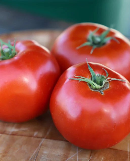 Organic Tomato Galahad - West Coast Seeds - Image 2