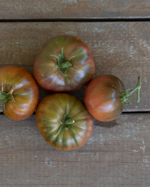 Organic Tomato Medusa - West Coast Seeds - Image 2