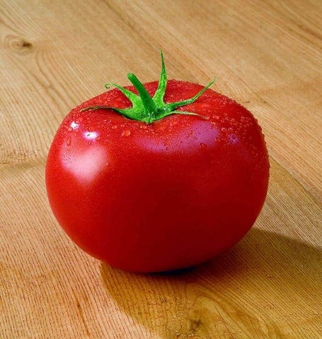 Tomato Tasti-Lee - West Coast Seeds - Image 3