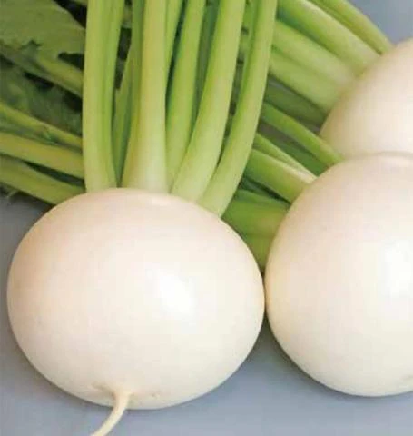 Turnips Silky Sweet - West Coast Seeds Ltd - Image 2