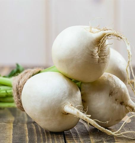 Turnips Silky Sweet - West Coast Seeds Ltd - Image 3