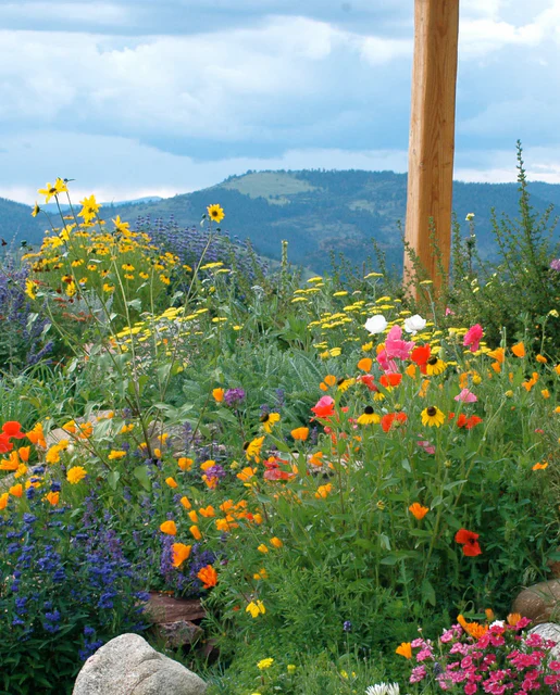 Wildflowers Firewise Blend - West Coast Seeds - Image 2