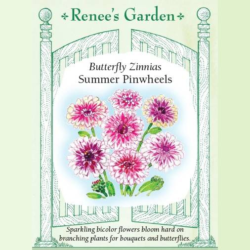 Zinnia Summer Pinwheels - Renee's Garden