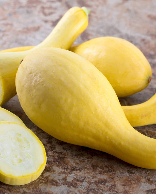 Zucchini Golden Summer - West Coast Seeds - Image 2
